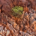 Madagascar 242-1 copia